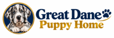 Great Dane Puppy Home